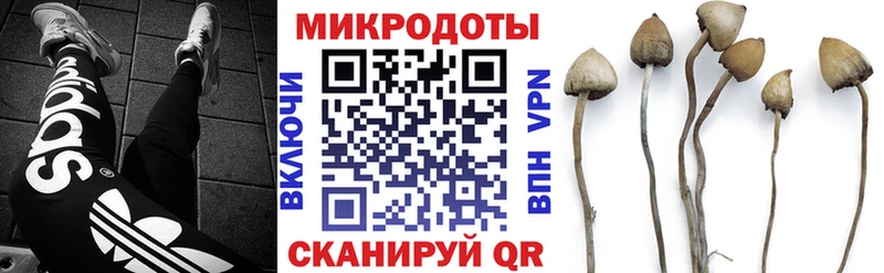 Галлюциногенные грибы GOLDEN TEACHER  Агидель 